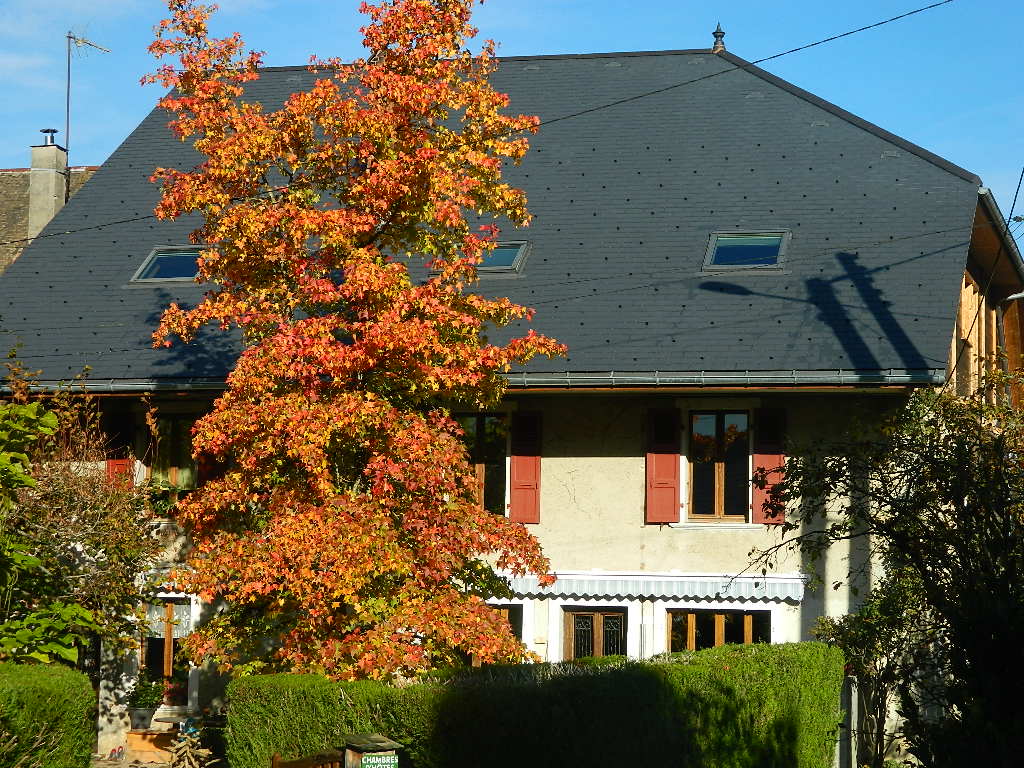 diaporama accueil (7)